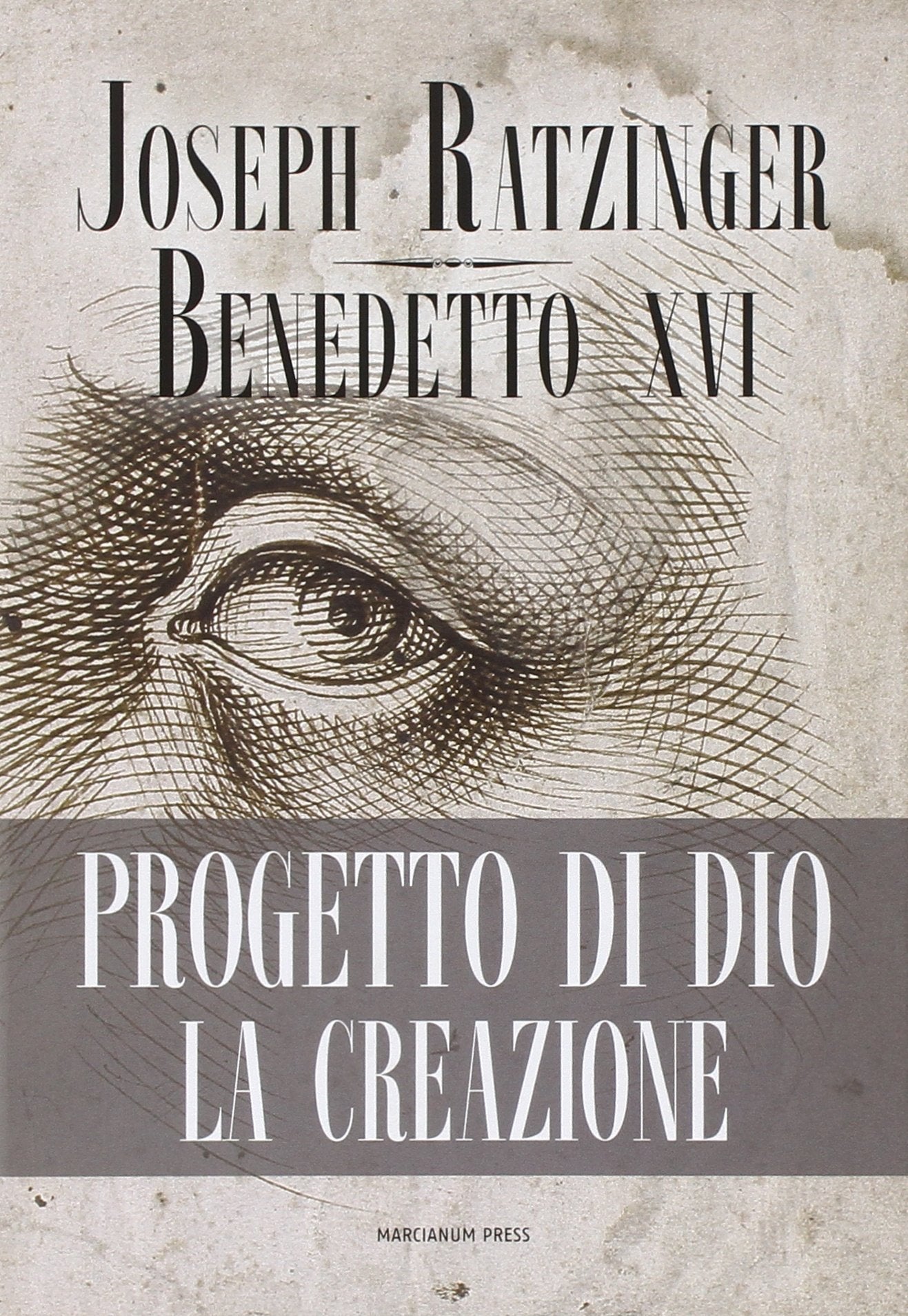 Progetto di Dio: la creazione Social Sciences