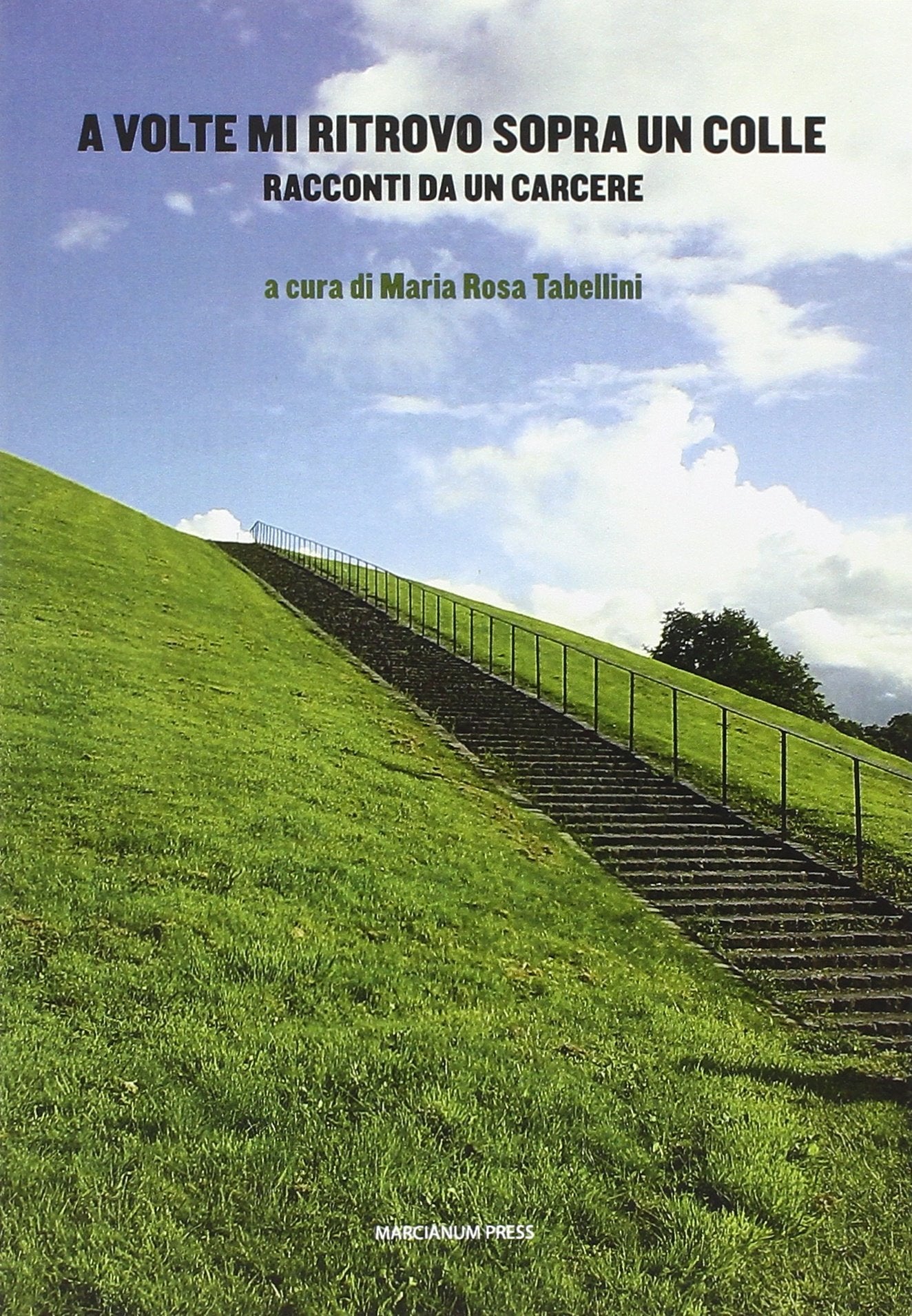 A volte mi ritrovo sopra un colle. Racconti da un carcere book