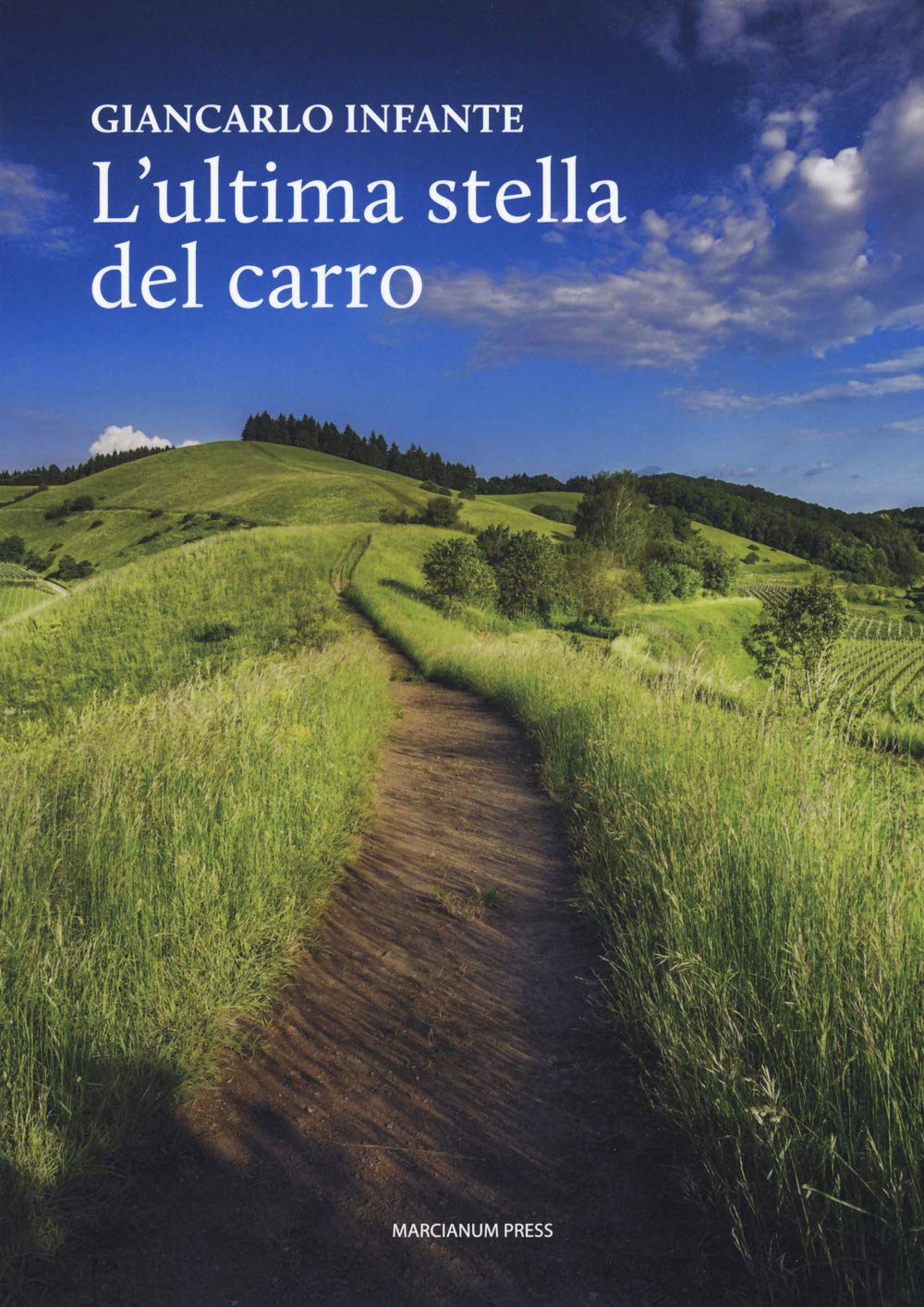 L'ultima stella del carro book