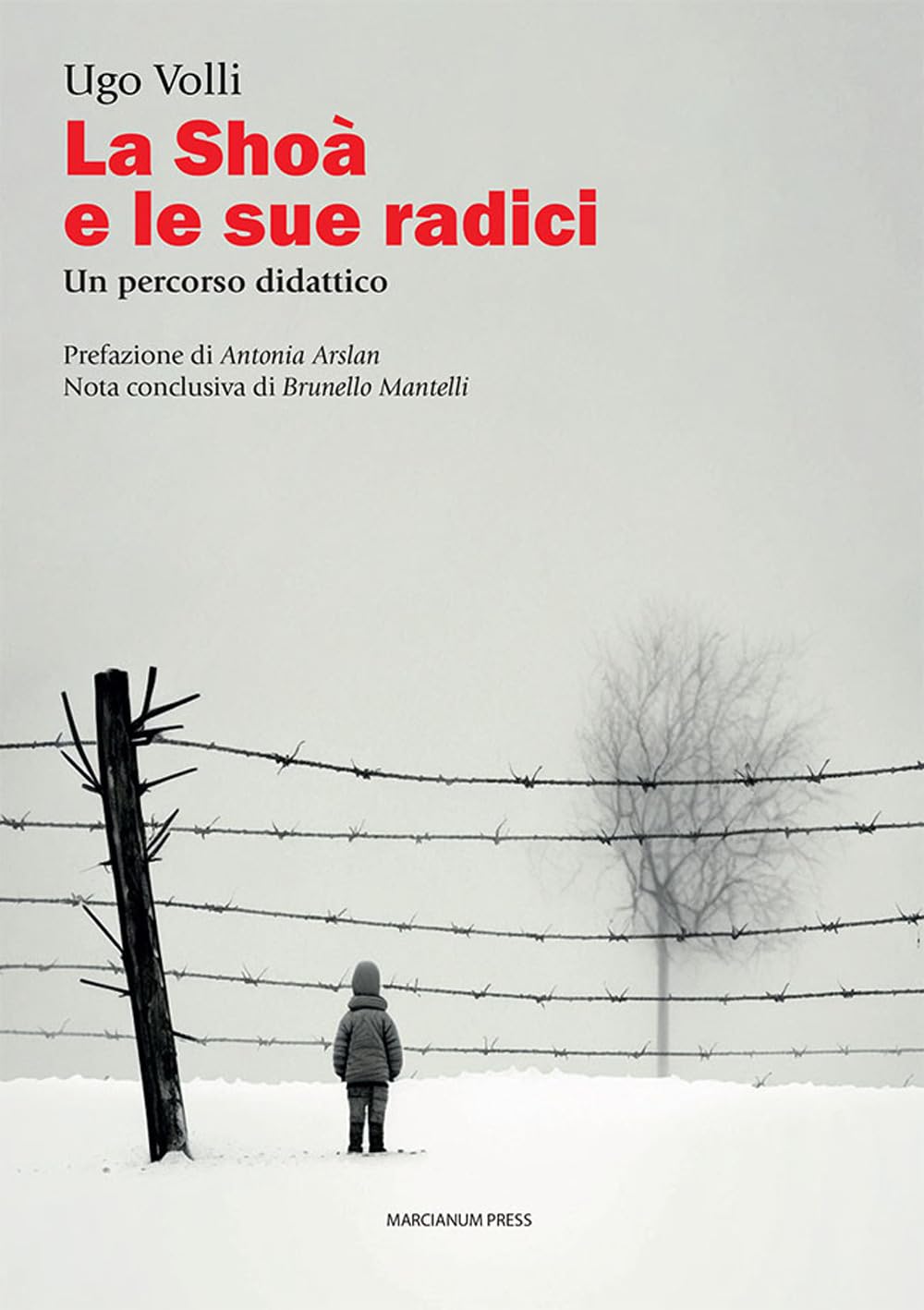La Schoà e le sue radici. Un percorso didattico (Studi storici) Social Sciences