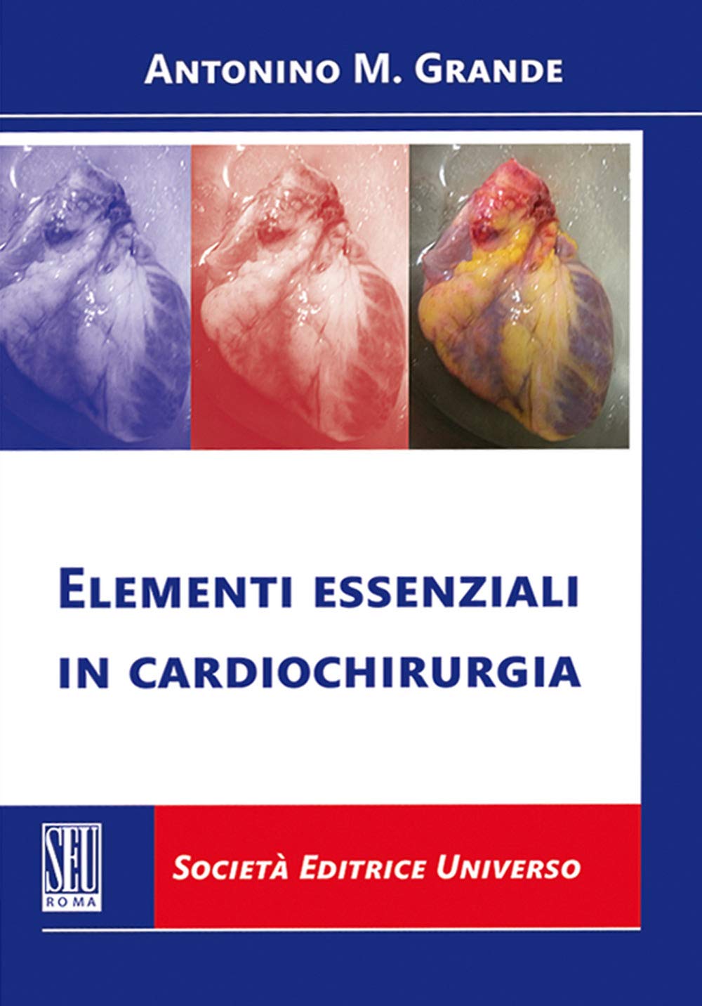 Elementi essenziali in cardiochirurgia book