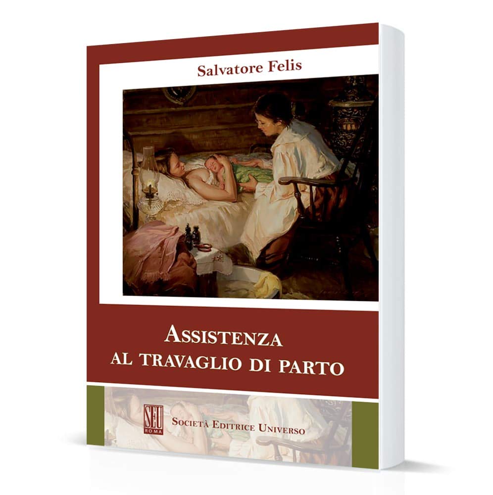 Assistenza al travaglio di parto book