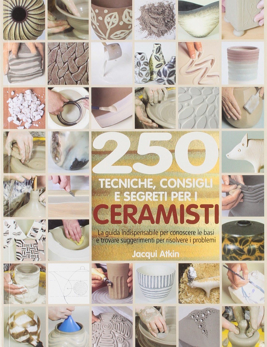 Duecenticinquanta tecniche, consigli, segreti per ceramisti book