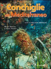 Conchiglie del Mediterraneo. Ediz. illustrata book