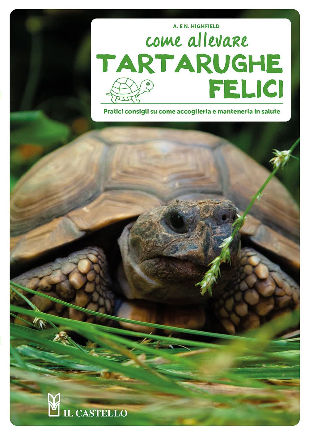 Come allevare tartarughe felici book