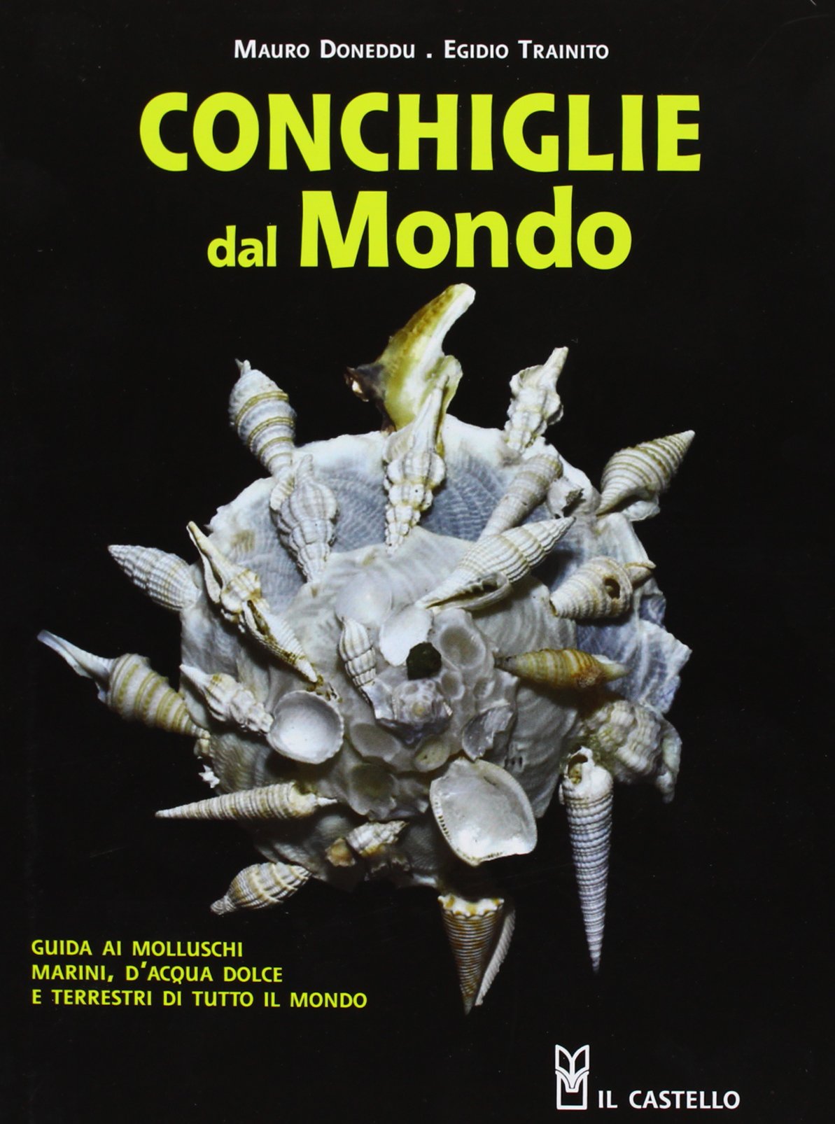 Conchiglie dal mondo. Guida ai molluschi marini, d'acqua dolce e terrestri di tutto il mondo Leisure, Home & Garden Books