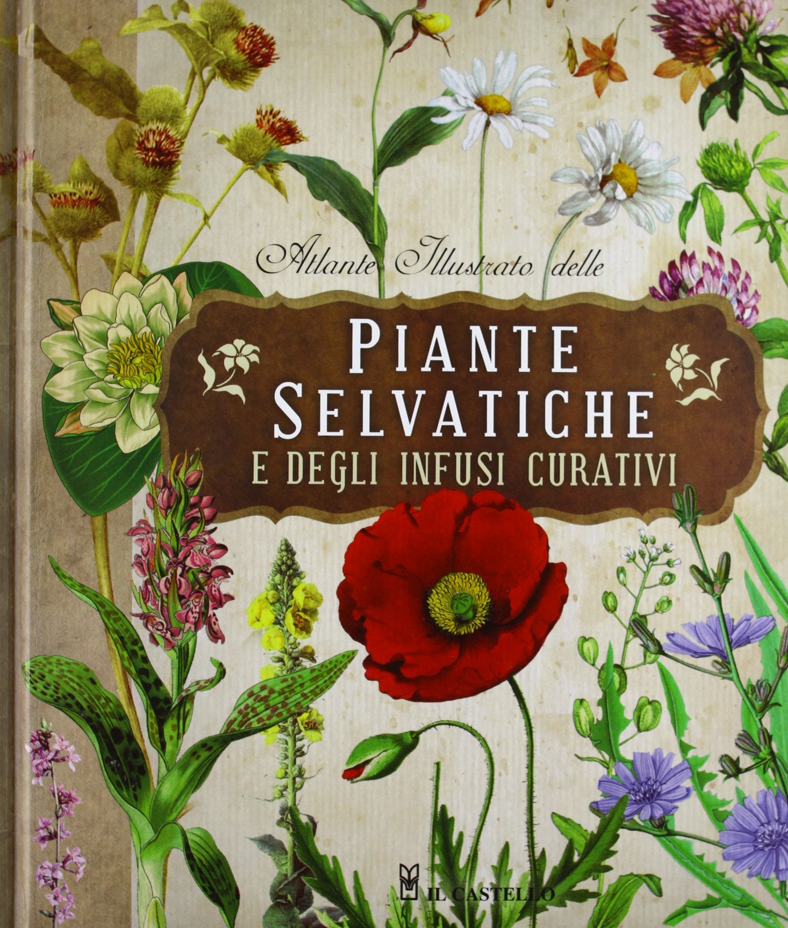 Atlante illustrato delle piante selvatiche e degli infusi curativi book