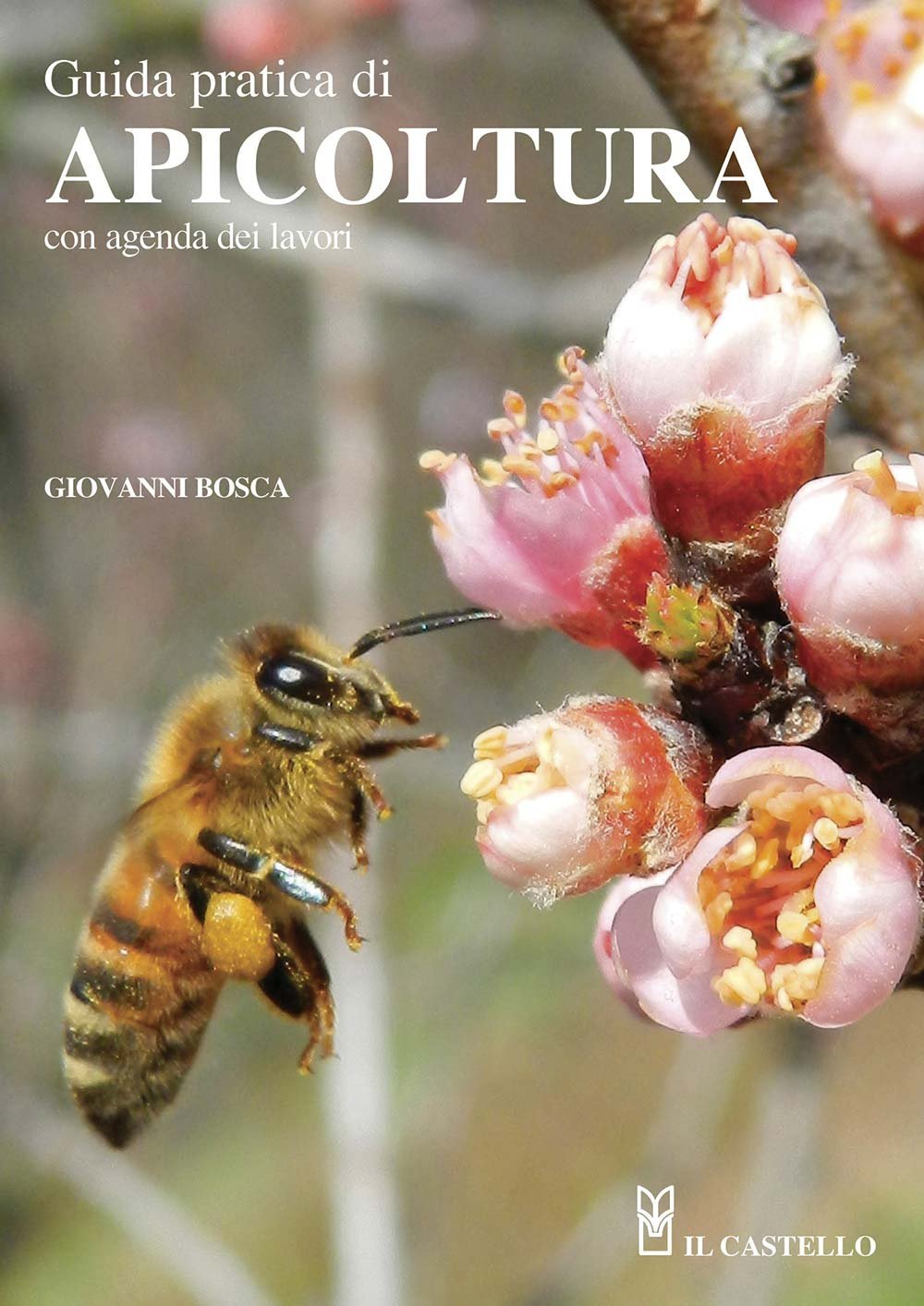 Guida pratica di apicoltura. Con agenda dei lavori book