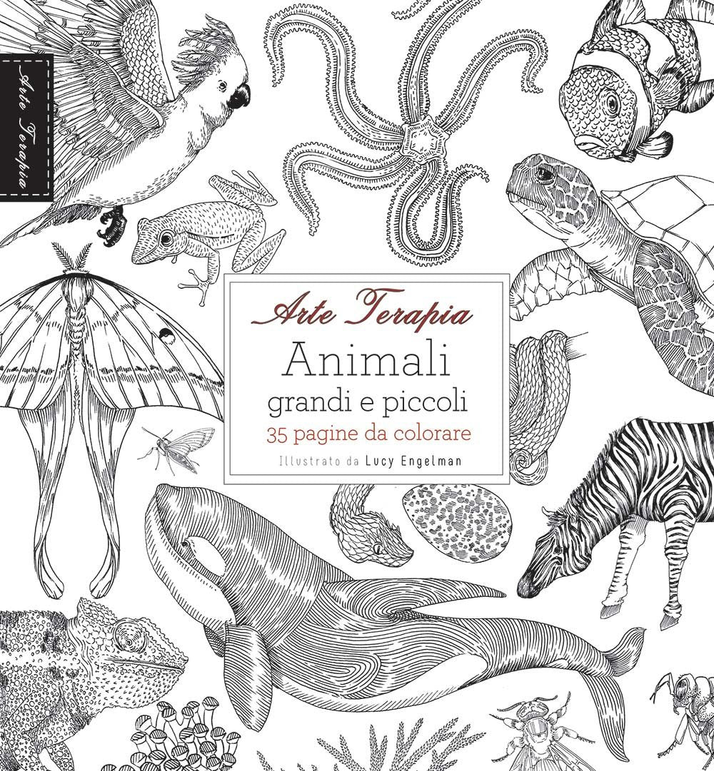 Arte terapia. Animali grandi e piccoli book