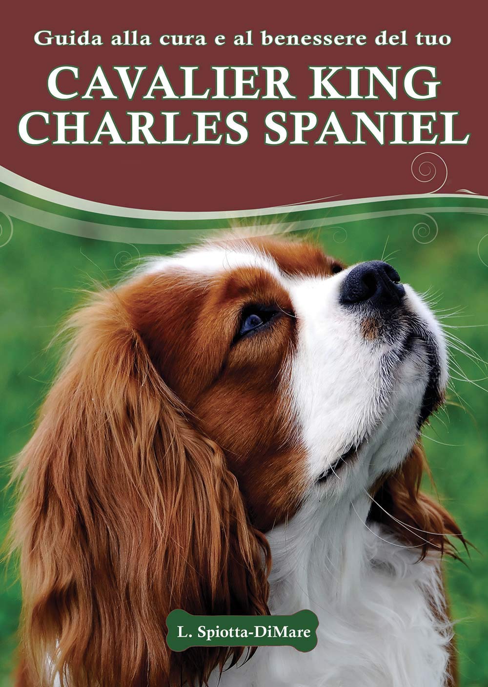Guida alla cura e al benessere del tuo Cavalier King Charles Spaniel book