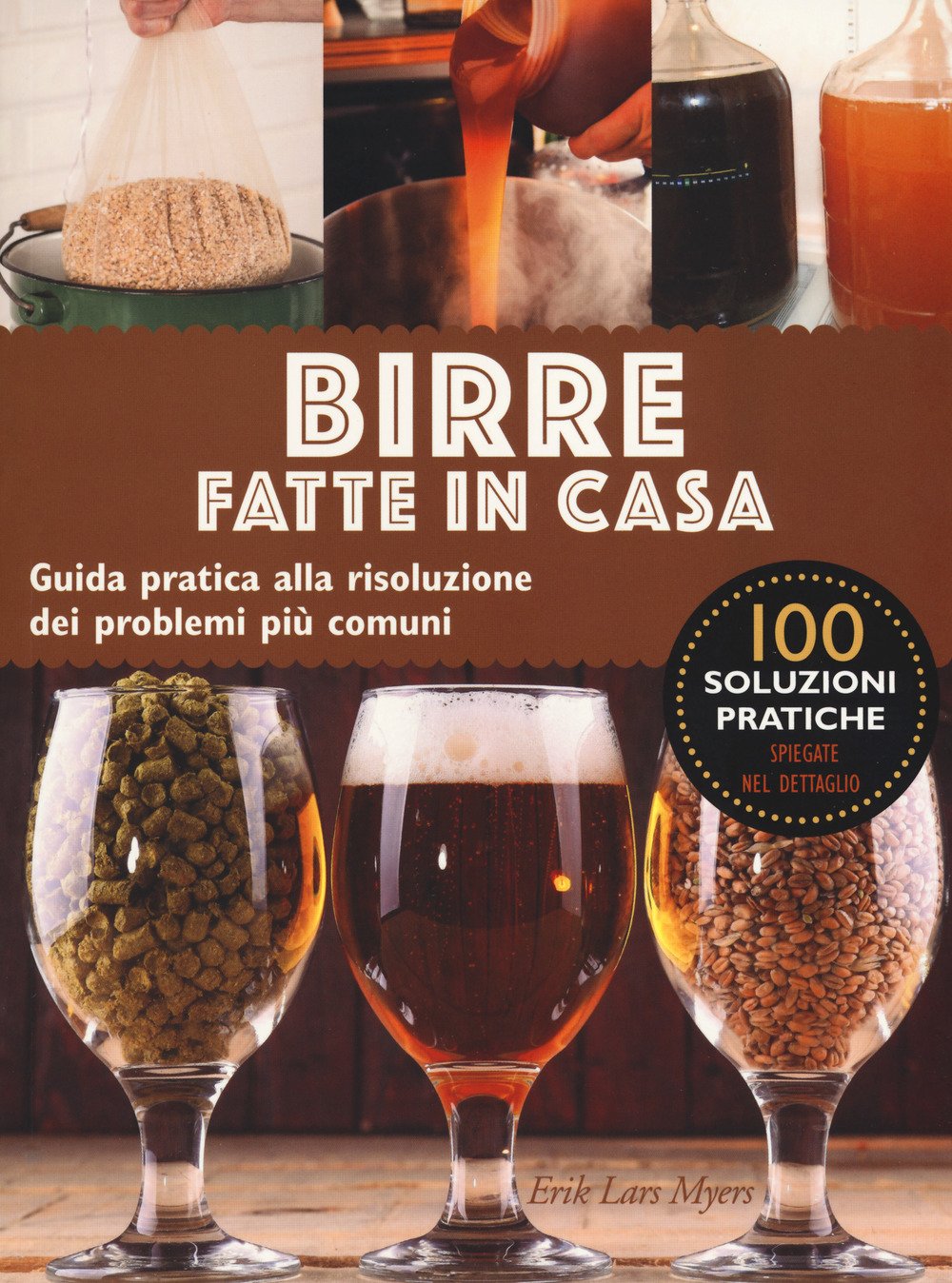 Birre fatte in casa. Guida pratica alla risoluzione dei problemi più comuni book