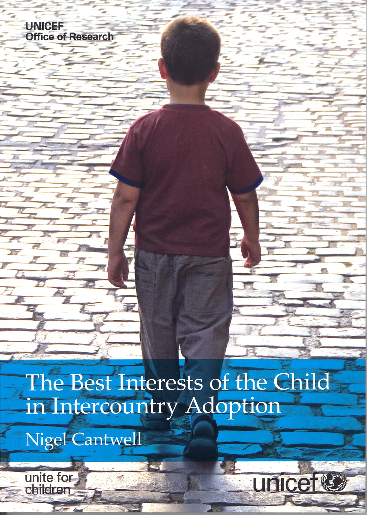 Best Interests of the Child in Intercountry Adoption (The) (Innocenti insight) Law