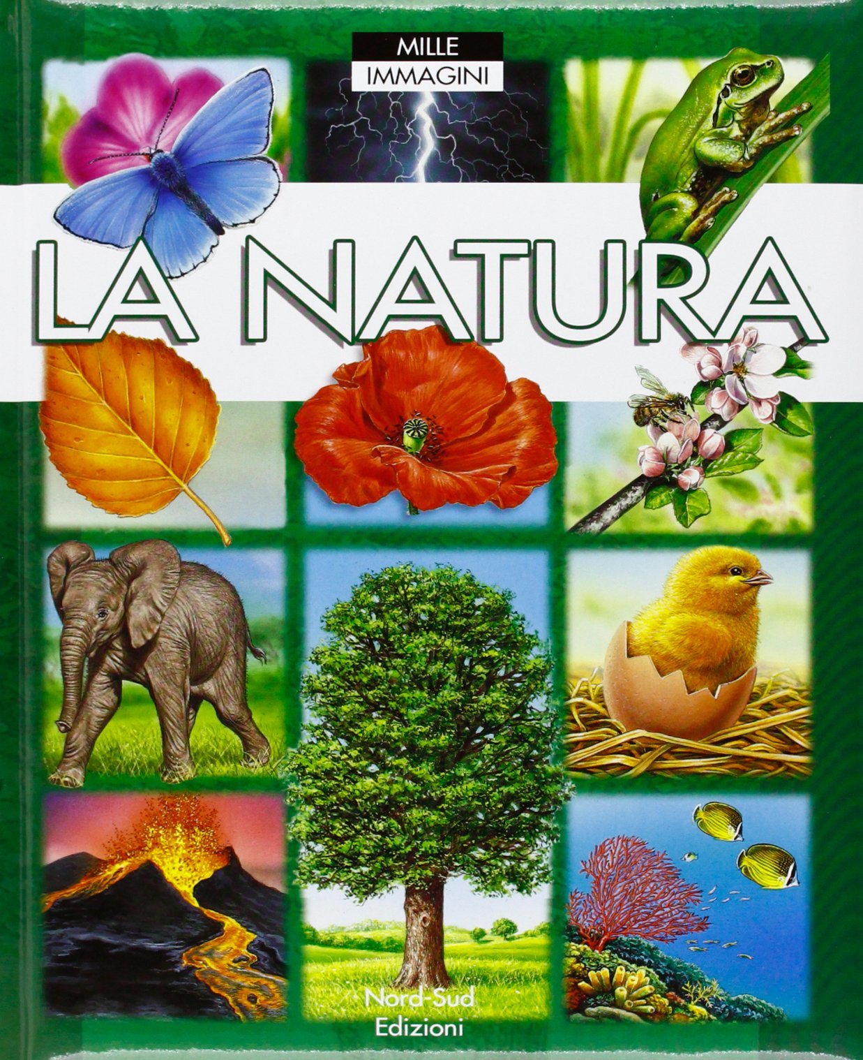 La natura (Libri illustrati) Non-fiction