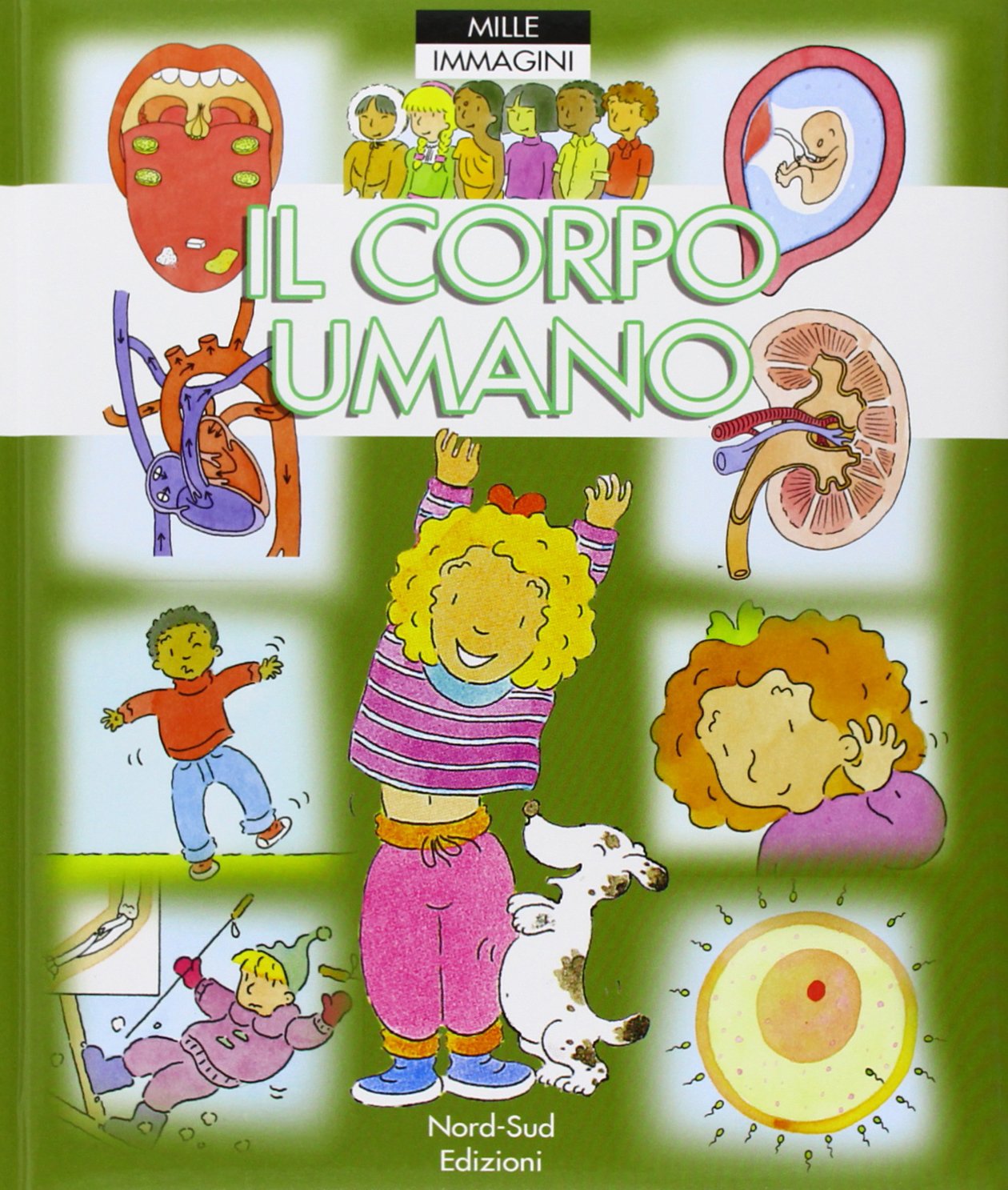 Il corpo umano. Mille immagini. Ediz. illustrata book