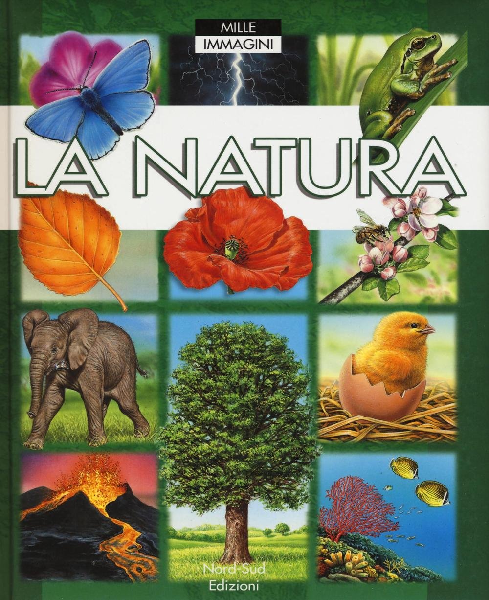 La natura. Ediz. a colori book