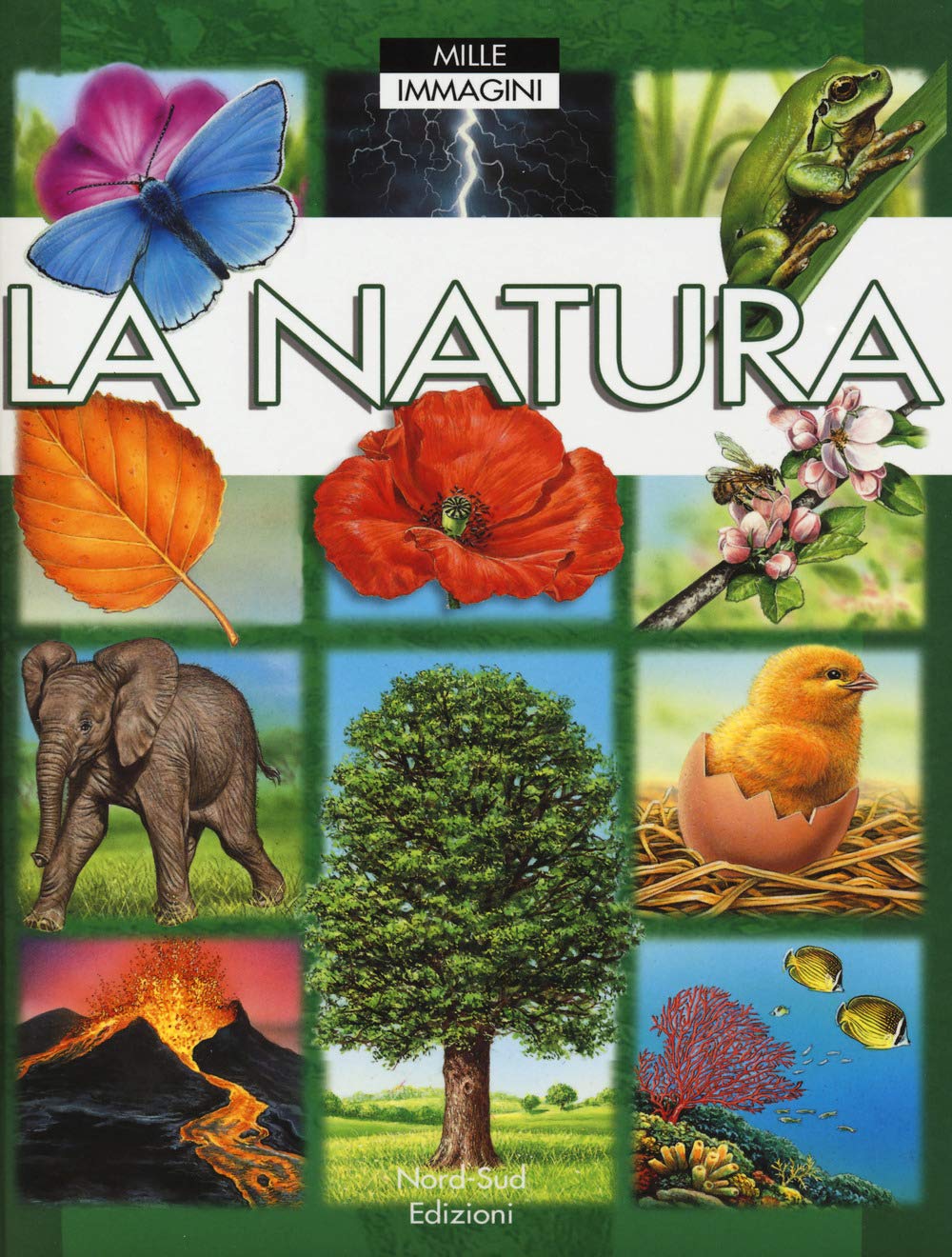 La natura. Ediz. a colori book