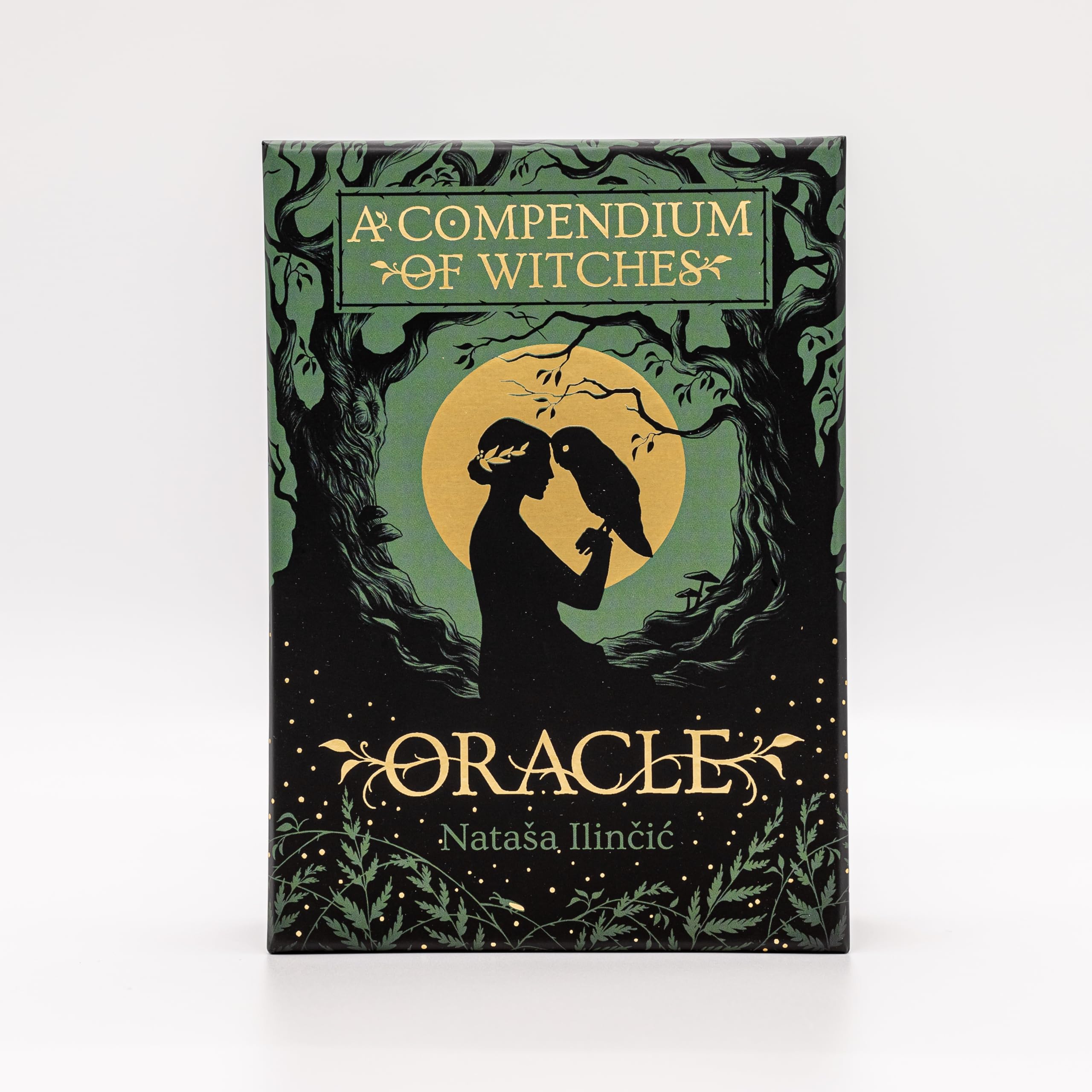 A Compendium of Witches Oracle Religion & Esotericism