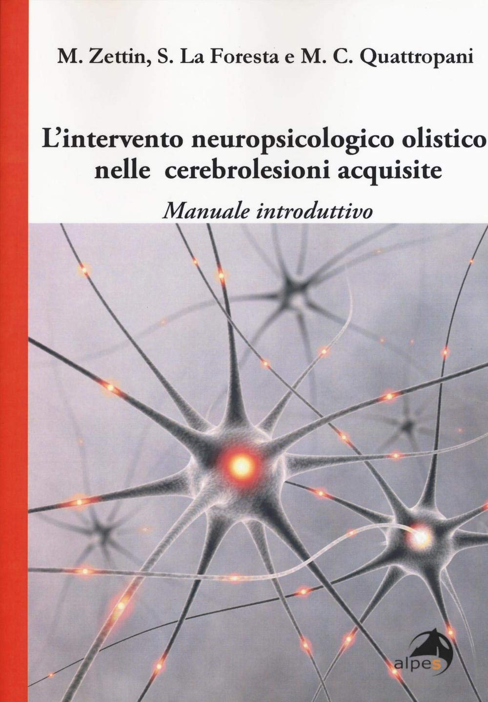 L'intervento neuropsicologico olistico nelle cerebrolesi acquisite. Manuale introduttivo book