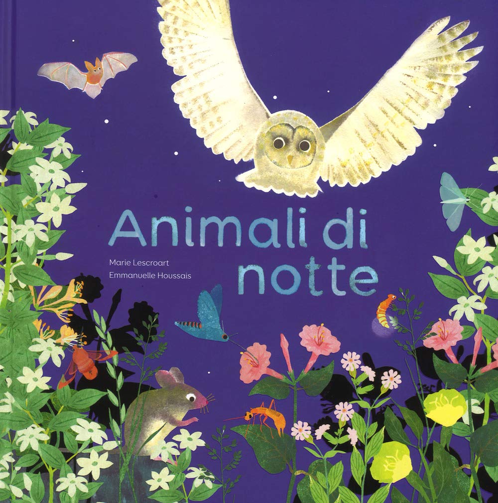 Animali di notte. Ediz. a colori (Libri illustrati) Children's books