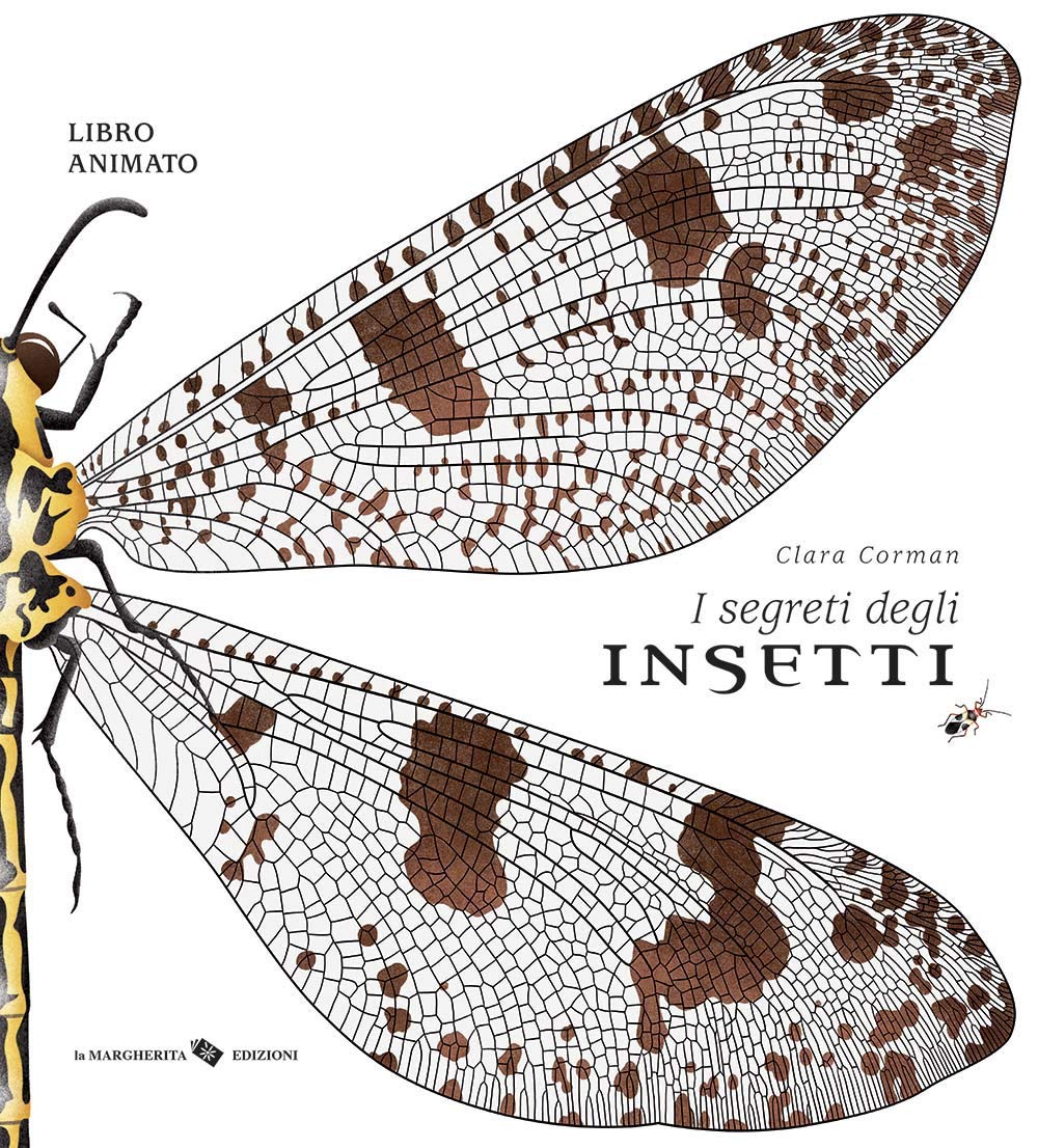 I segreti degli insetti. Ediz. a colori book