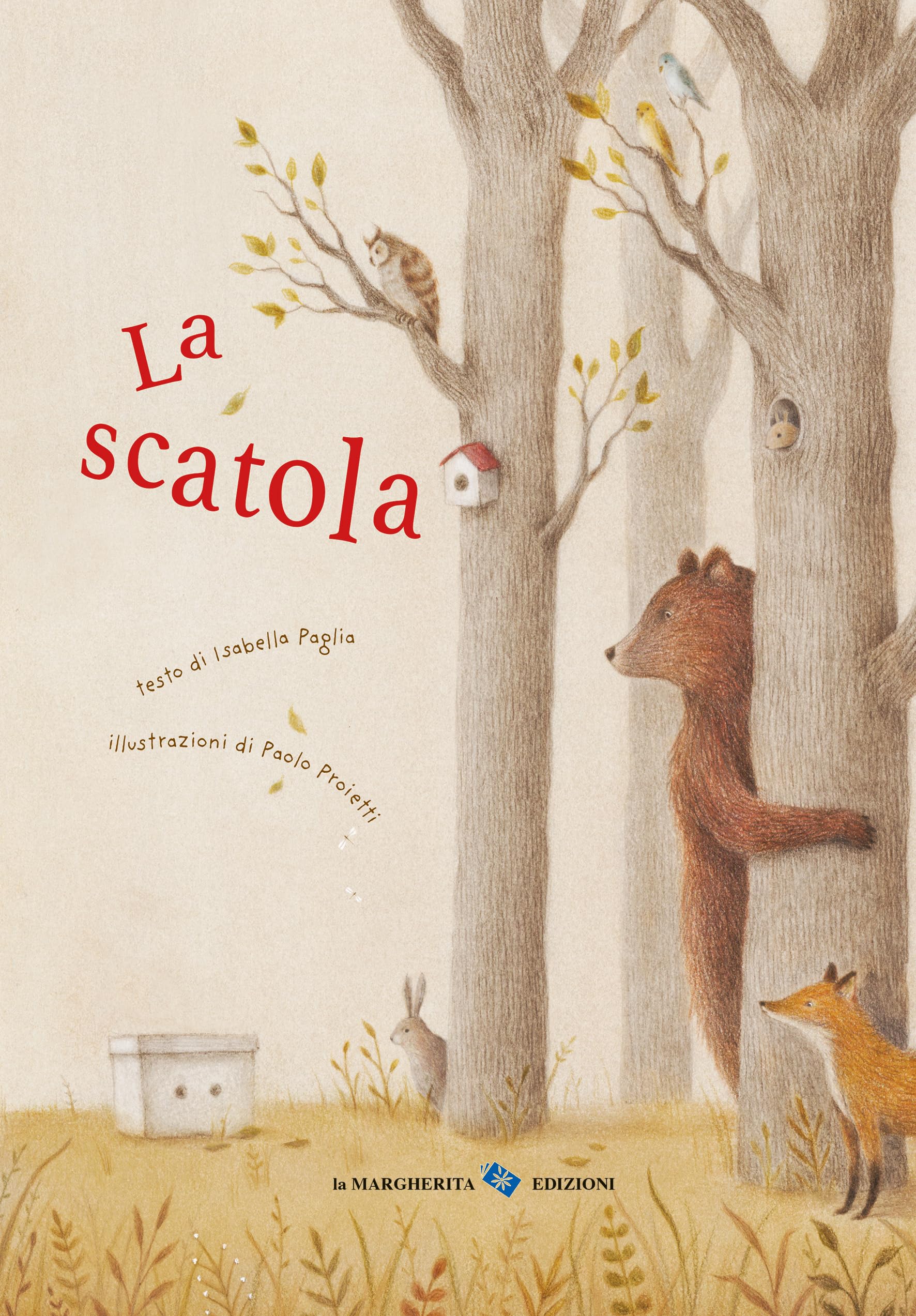 La scatola (Libri illustrati) Non-fiction