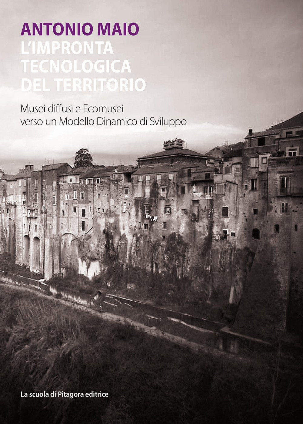 L'impronta tecnologica del territorio. Musei diffusi ed ecomusei verso un modello dinamico di sviluppo Social Sciences