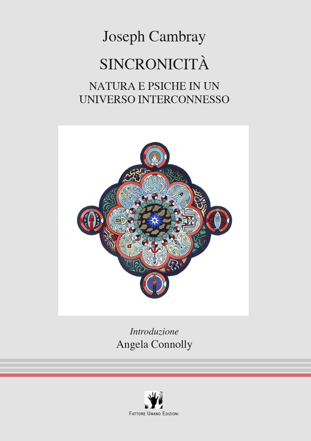 Sincronicità. Natura e psiche in un universo interconnesso (FUE-Voci dal Mondo) Psychology