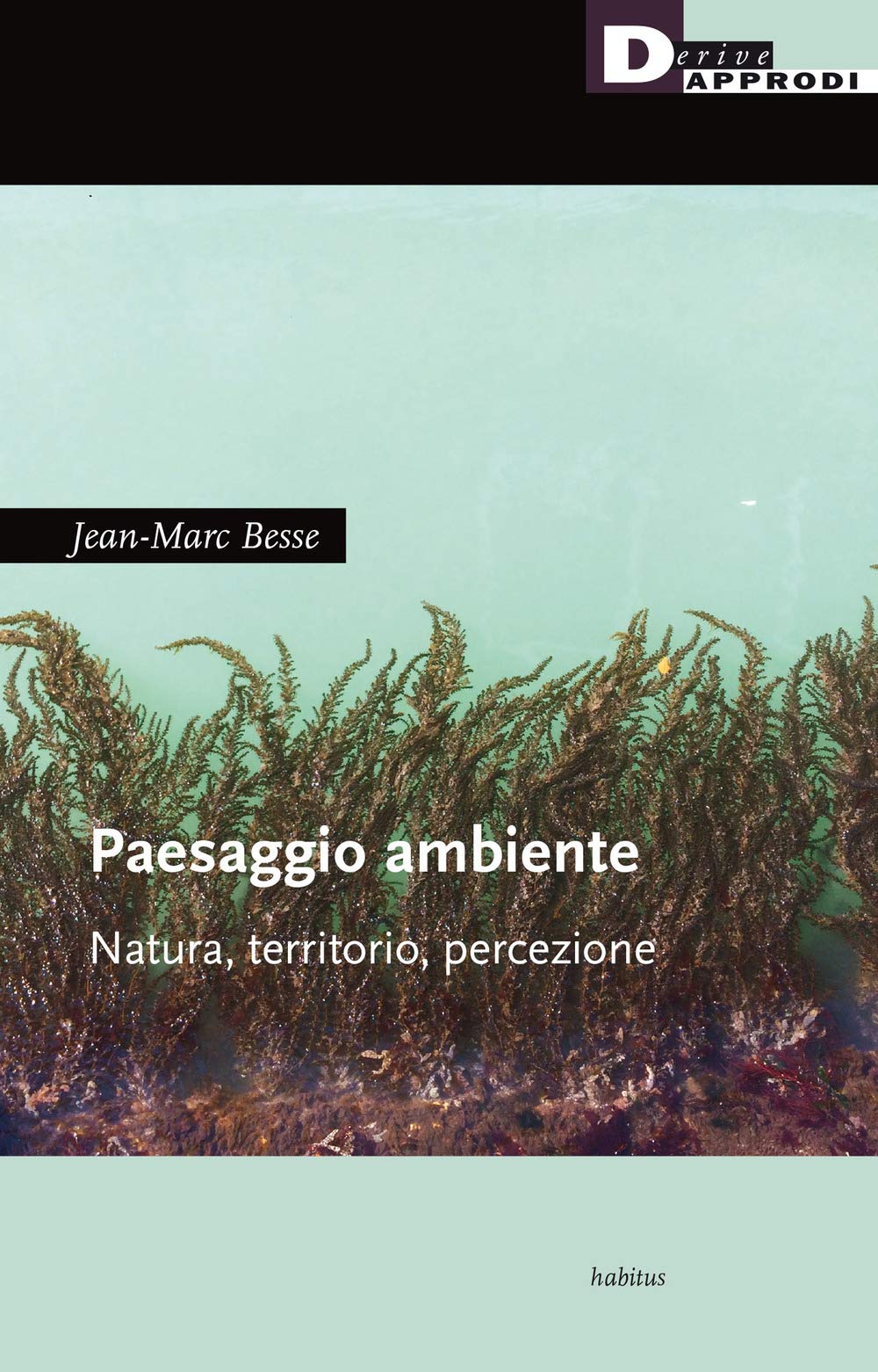 Paesaggio ambiente. Natura, territorio, percezione book