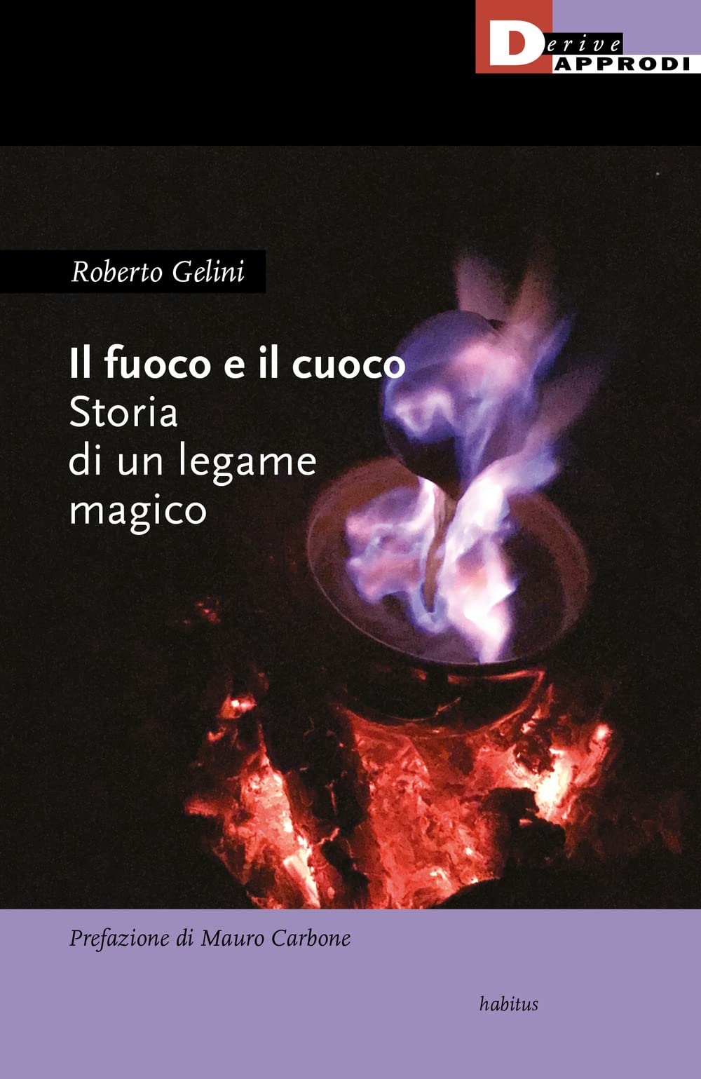 Il fuoco e il cuoco. Storia di un legame magico book
