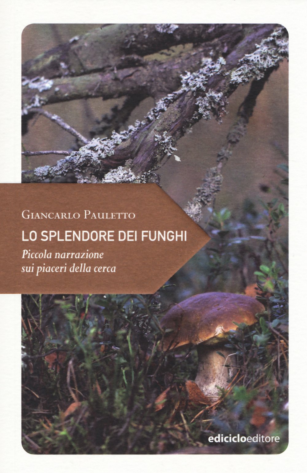 Lo splendore dei funghi. Piccola narrazione sui piaceri della cerca book