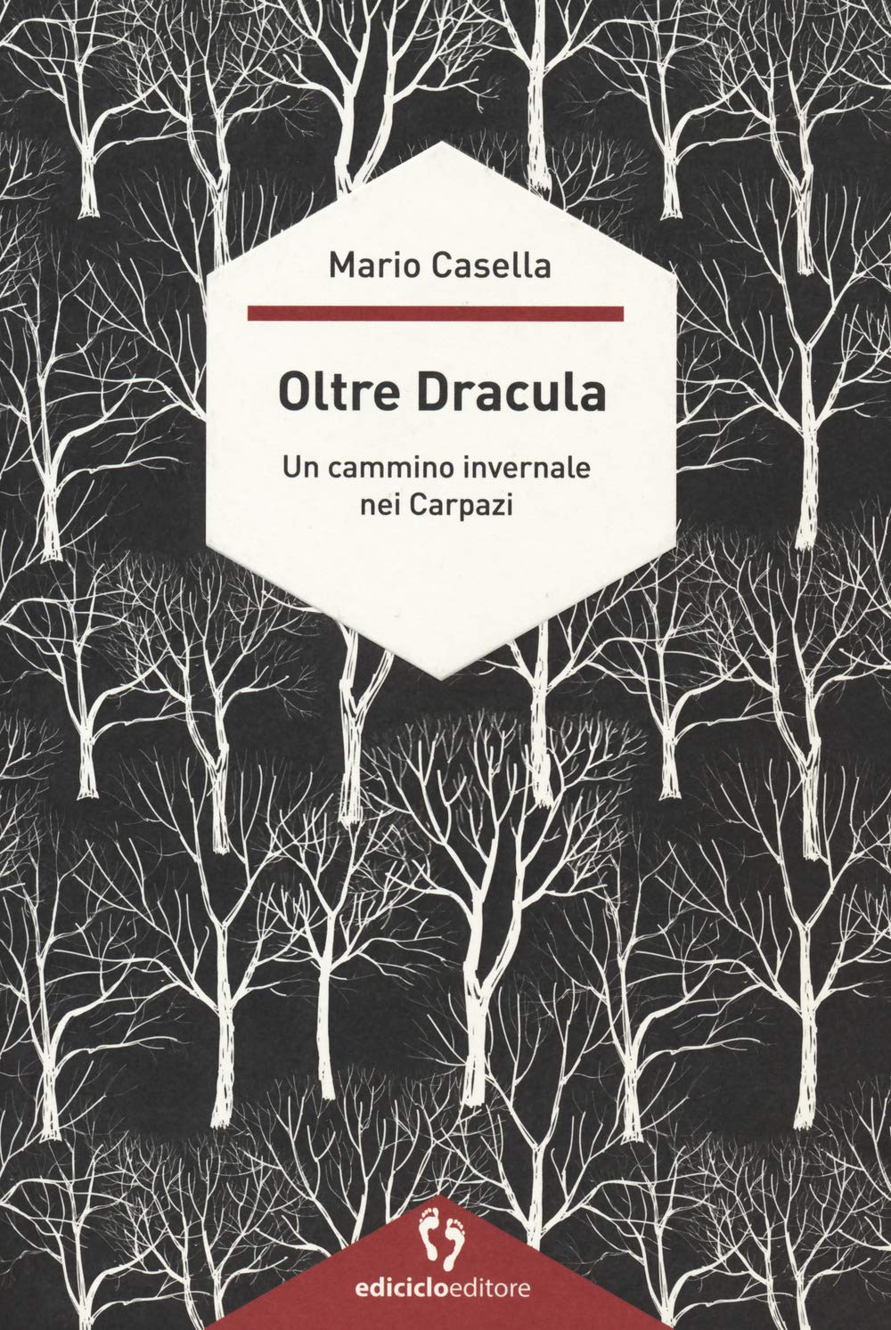 Oltre Dracula. Un cammino invernale nei Carpazi Leisure, Home & Garden