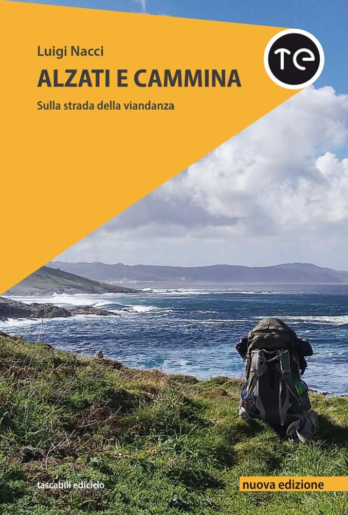Alzati e cammina. Sulla strada della viandanza. Nuova ediz. book