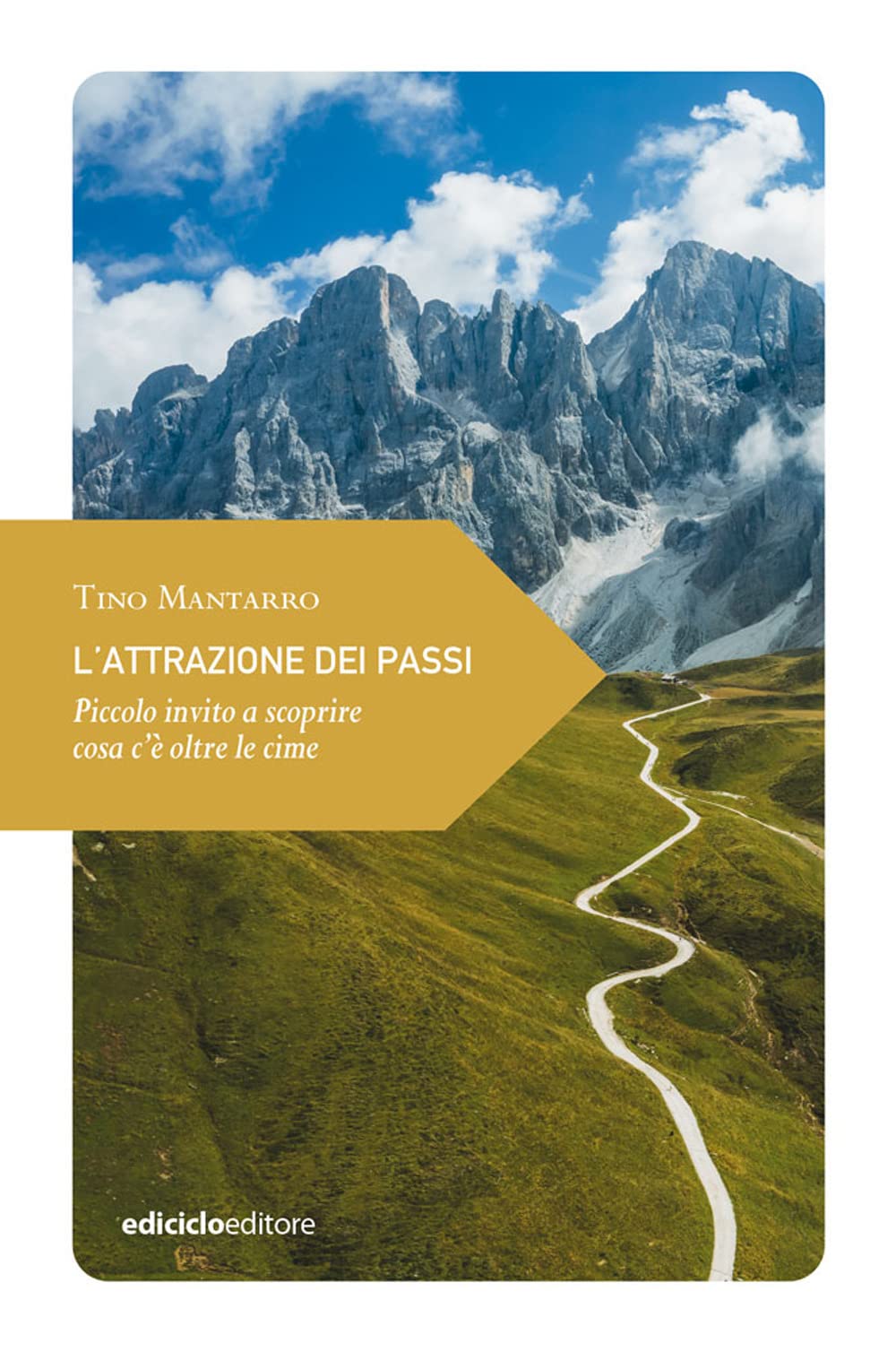 L'attrazione dei passi. Piccolo invito a scoprire cosa c'è oltre le cime book