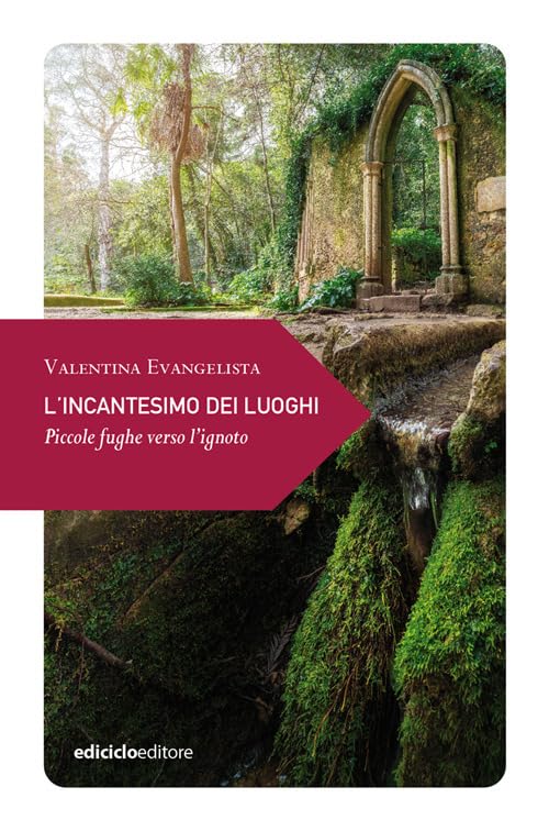 L'incantesimo dei luoghi. Piccole fughe verso l'ignoto book