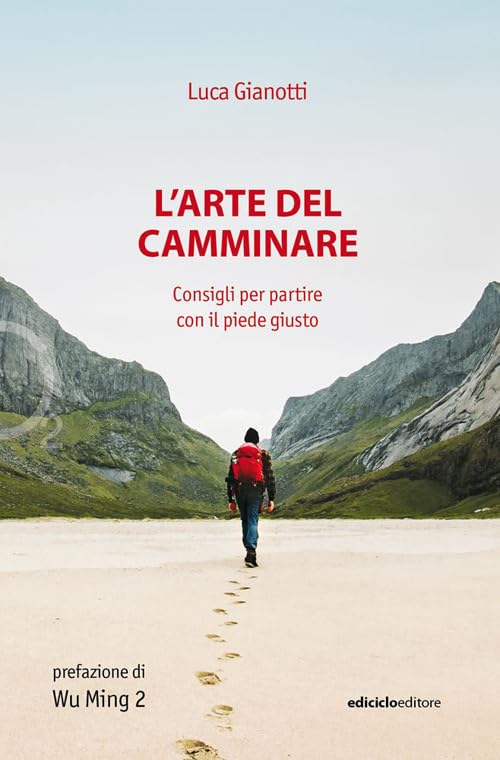 L'arte del camminare. Consigli per partire con il piede giusto book