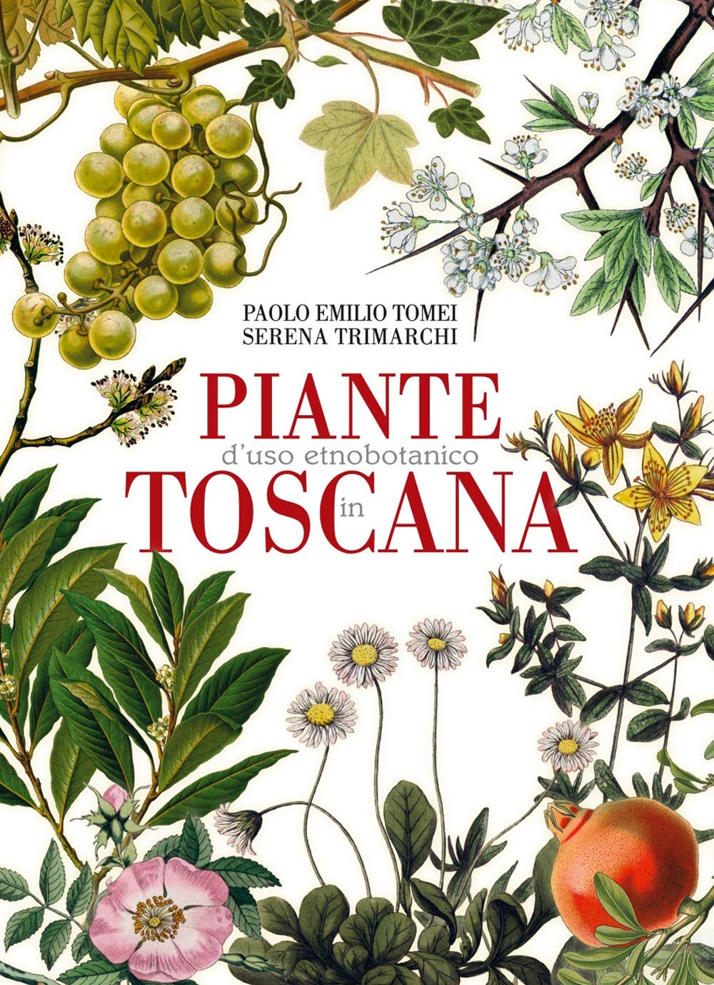 Piante d'uso etnobotanico in Toscana book