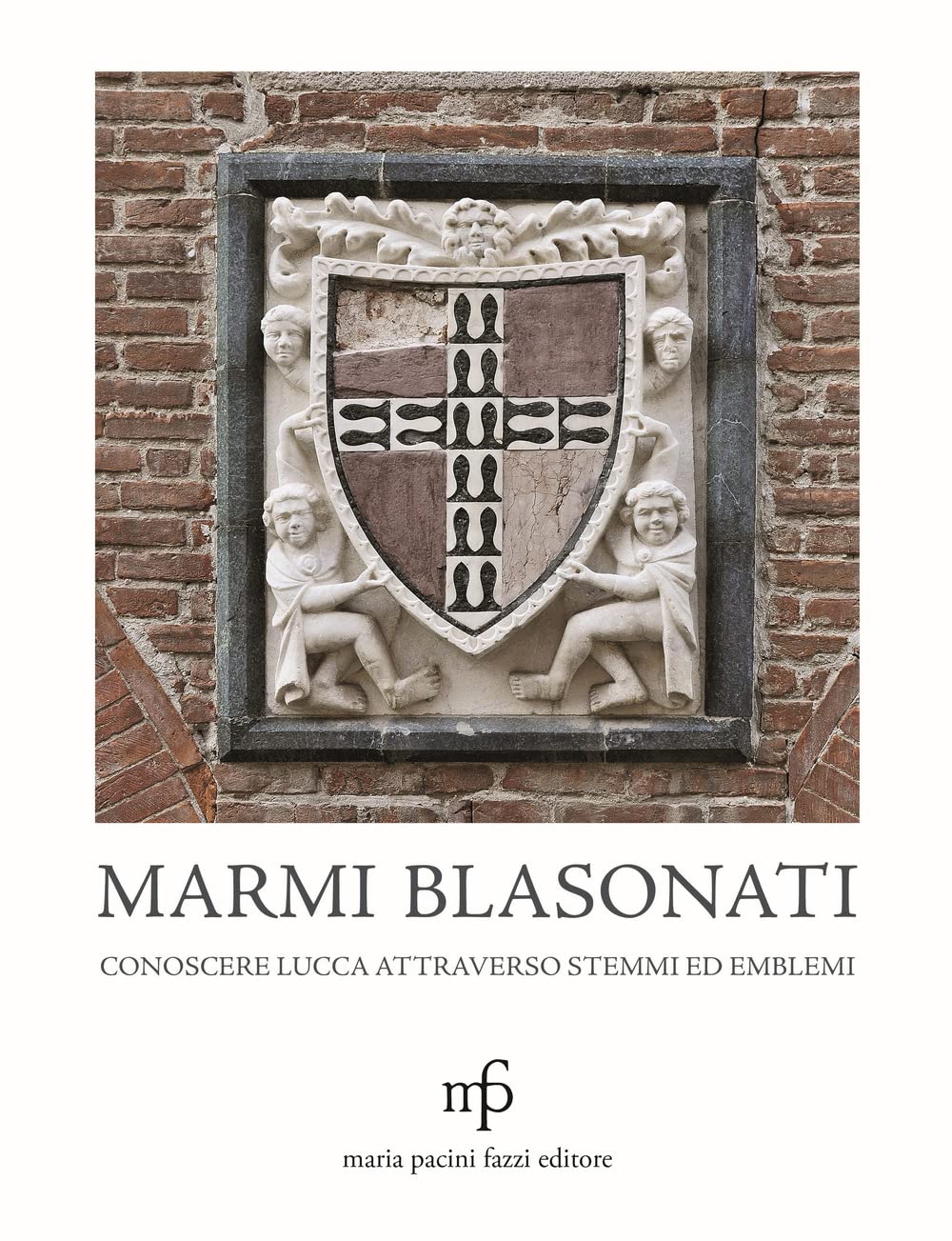 Marmi blasonati. Conoscere Lucca attraverso stemmi ed emblemi book