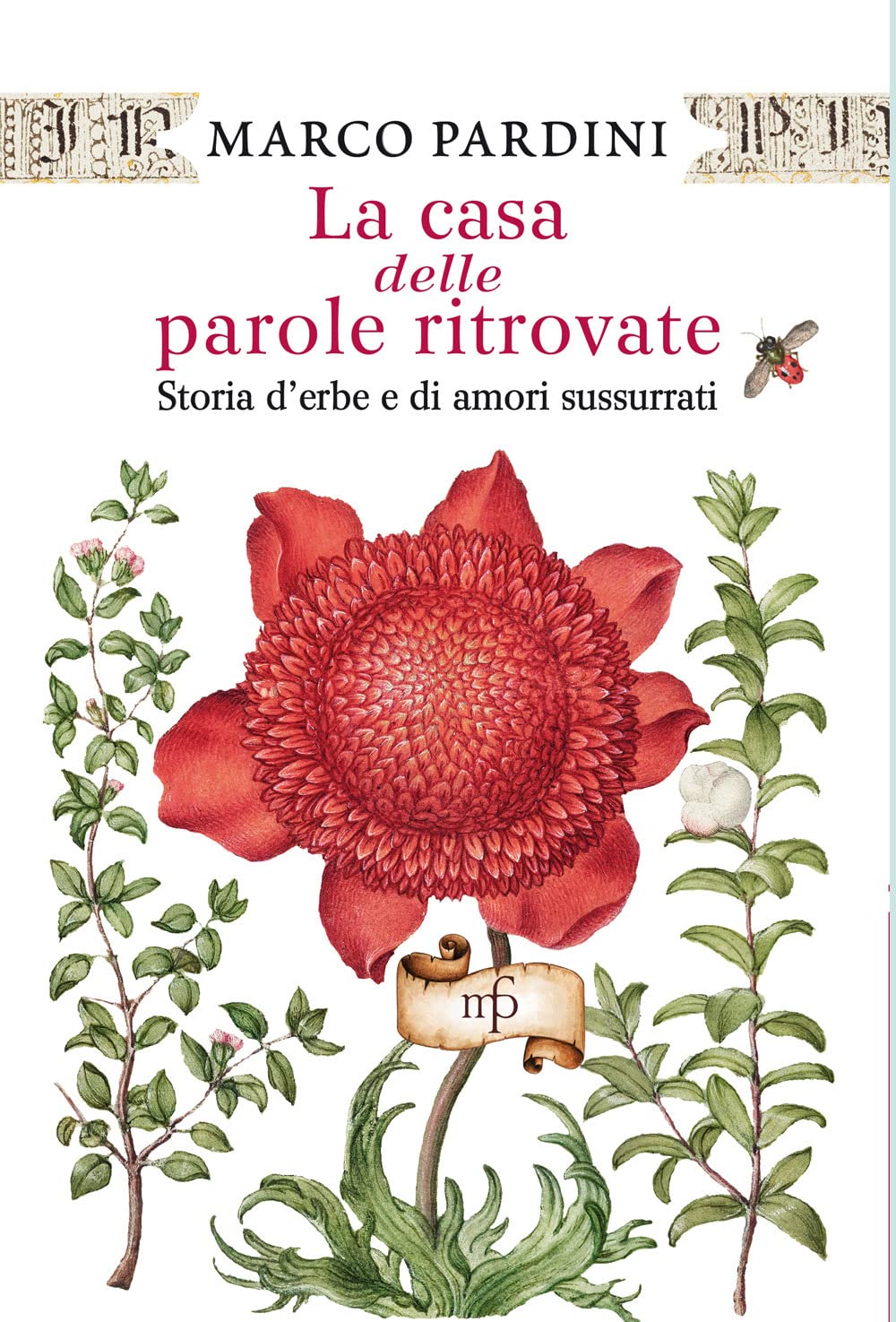 La casa delle parole ritrovate. Storia di erbe e di amori sussurrati Contemporary literature