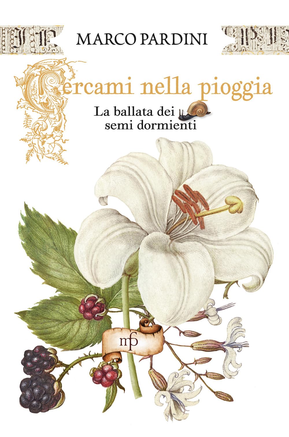 Cercami nella pioggia. La ballata dei semi dormienti Contemporary literature