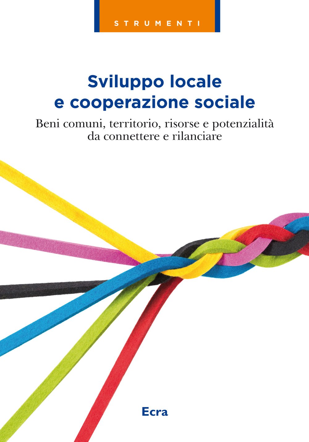 Sviluppo locale e cooperazione sociale. Beni comuni, territorio, risorse e potenzialità da connettere e rilanciare book