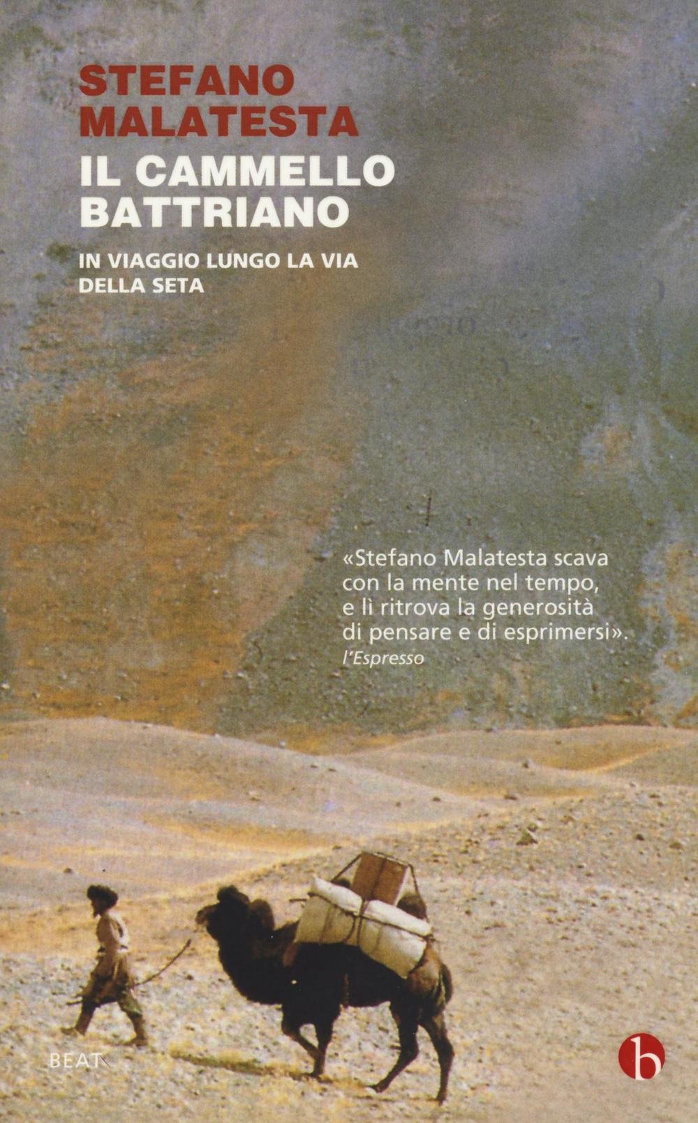 Il cammello battriano. In viaggio lungo la via della seta book