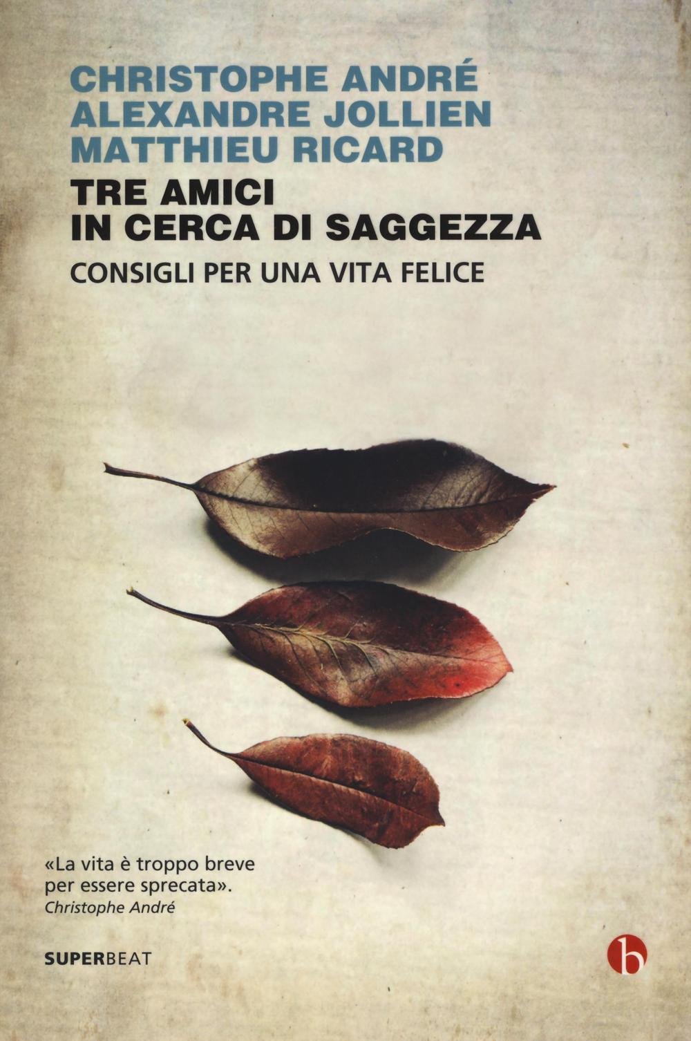 Tre amici in cerca di saggezza. Consigli per una vita felice (Superbeat) Lifestyle