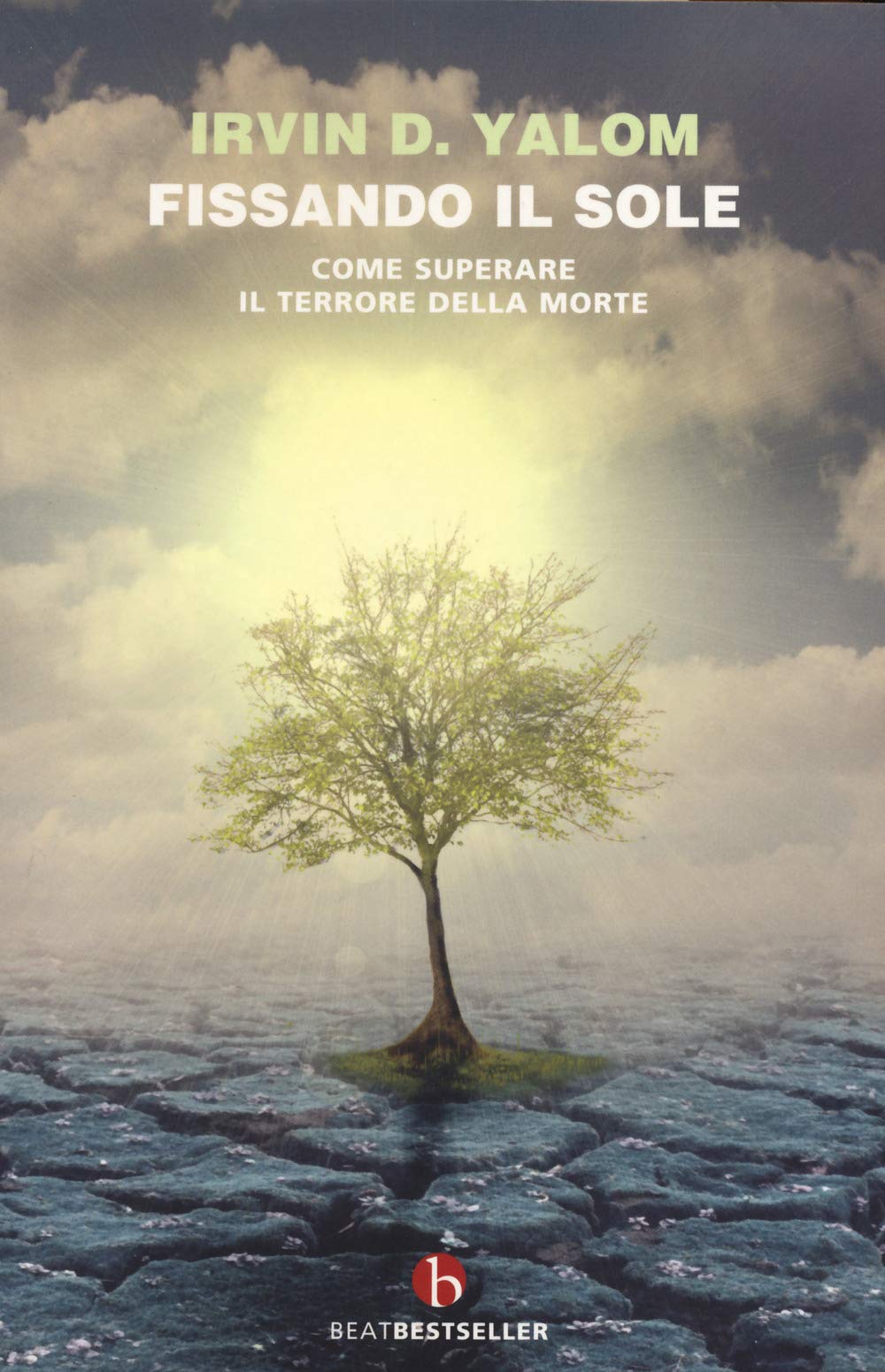 Fissando il sole (BEAT. Bestseller) Contemporary literature