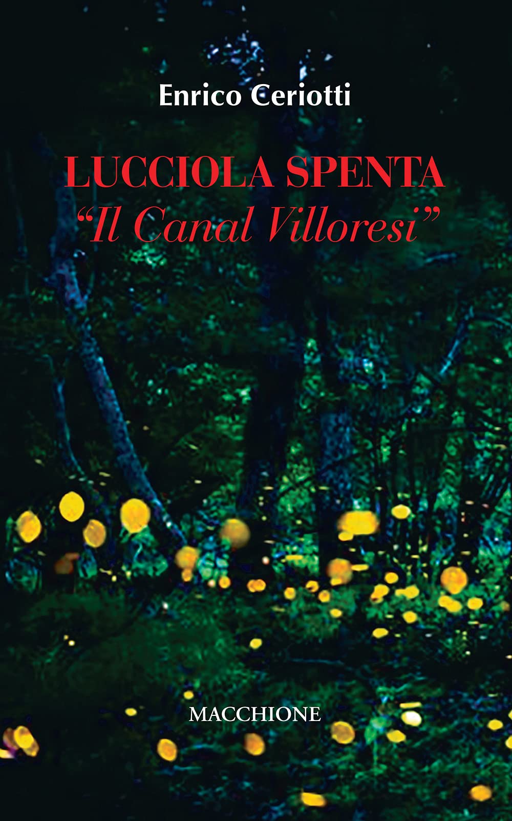 Lucciola spenta. Il canal Villoresi Contemporary literature