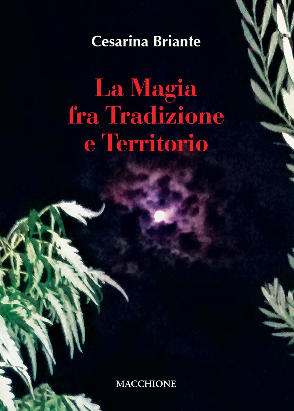 La magia fra tradizione e territorio Books