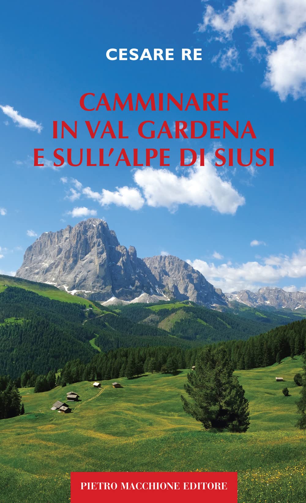 Camminare in Val Gardena e sull'Alpe di Siusi book