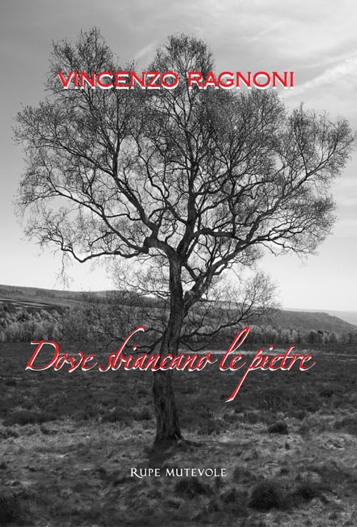 Dove sbiancano le pietre. Nuova ediz. Poetry