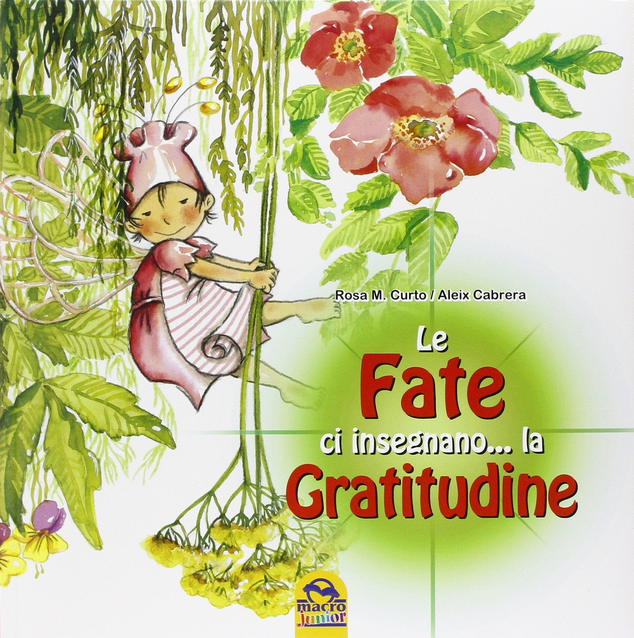 Le fate ci insegnano... la gratitudine book