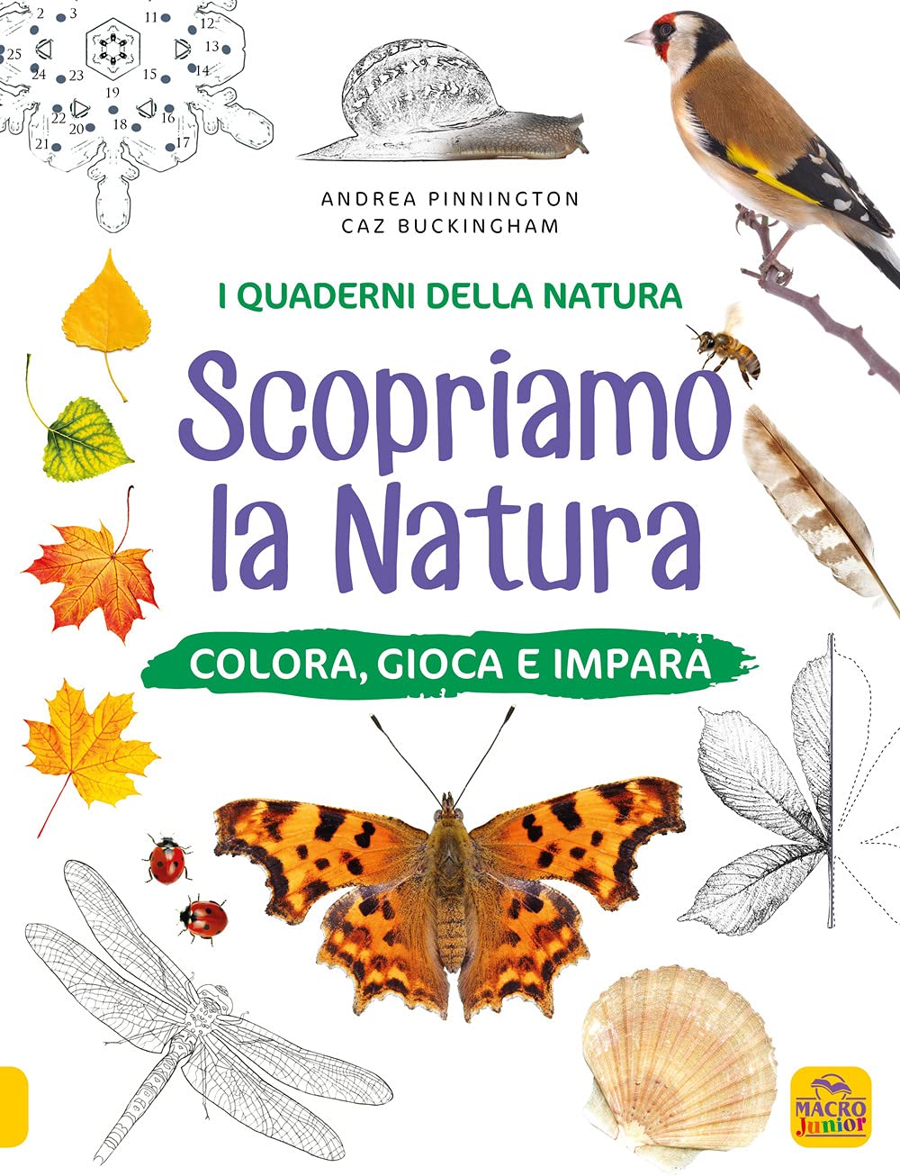 Scopriamo la natura. Colora, gioca e impara. Ediz. a colori book
