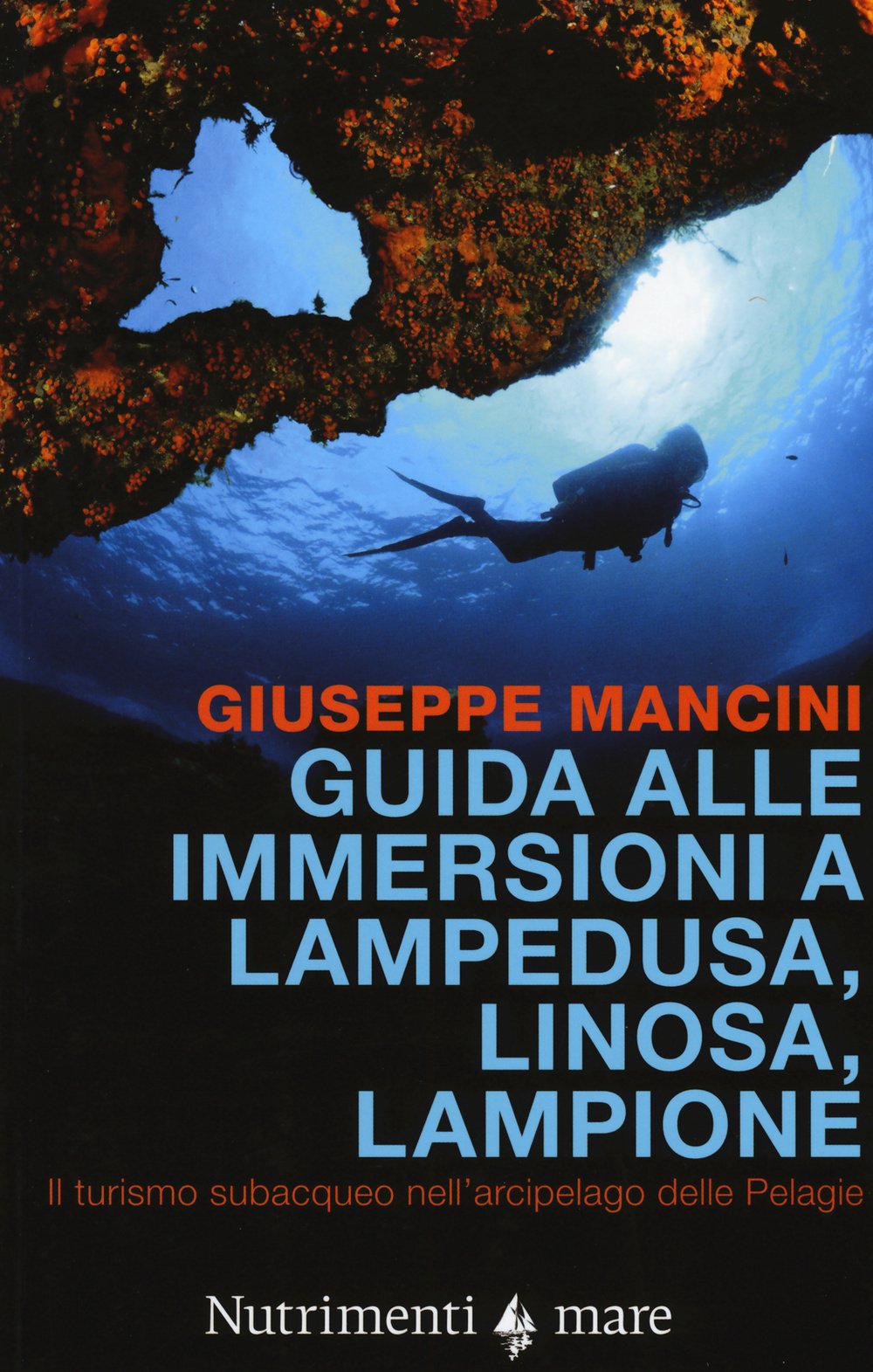 Guida alle immersioni a Lampedusa, Linosa, Lampione. Il turismo subacqueo nell'arcipelago delle Pelagie Leisure, Home & Garden
